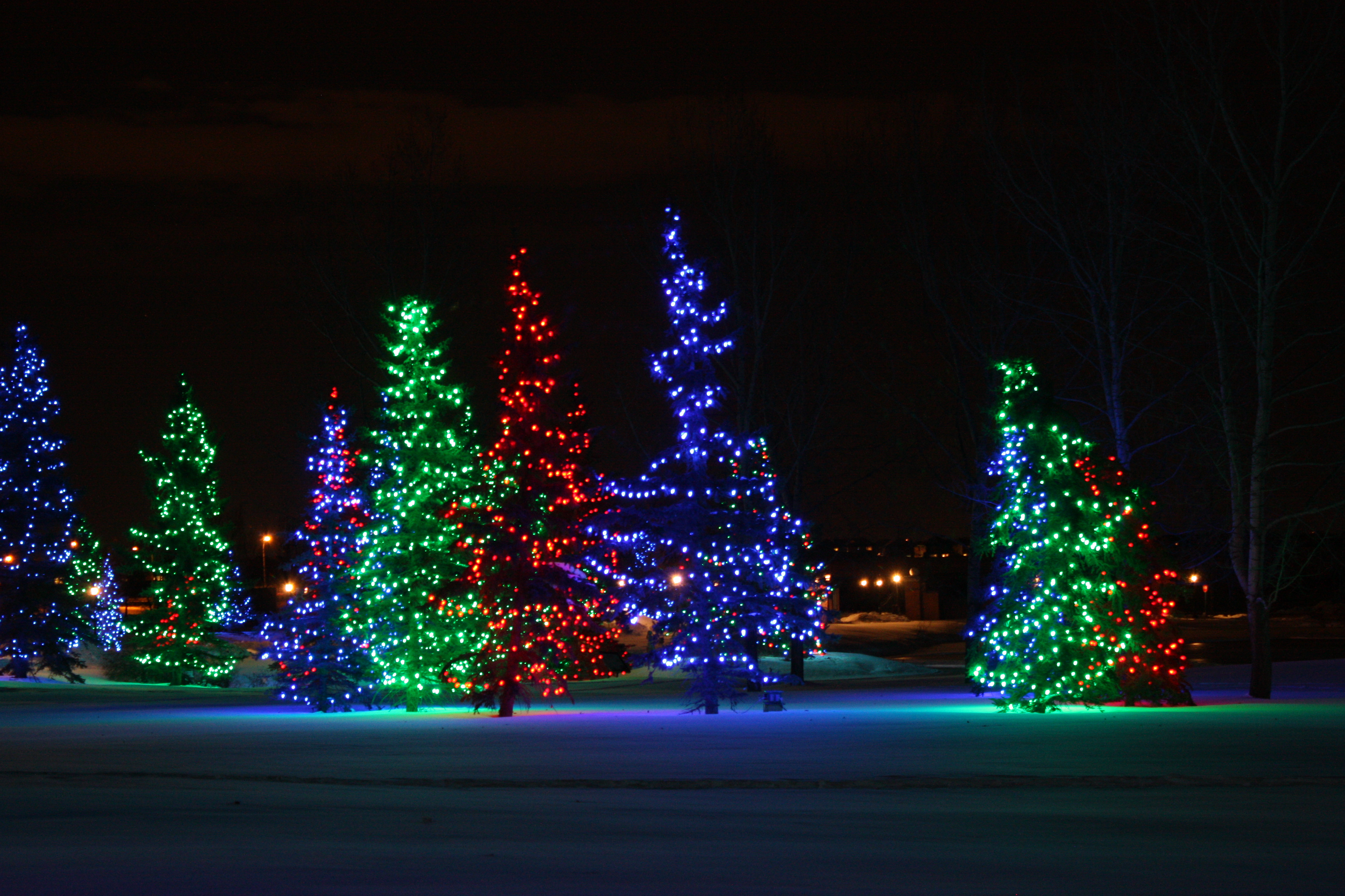 Holiday Lights at Spruce Meadows  Kids in Cowtown